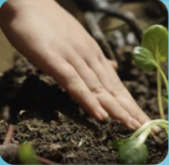 Gastronomía y Huertas